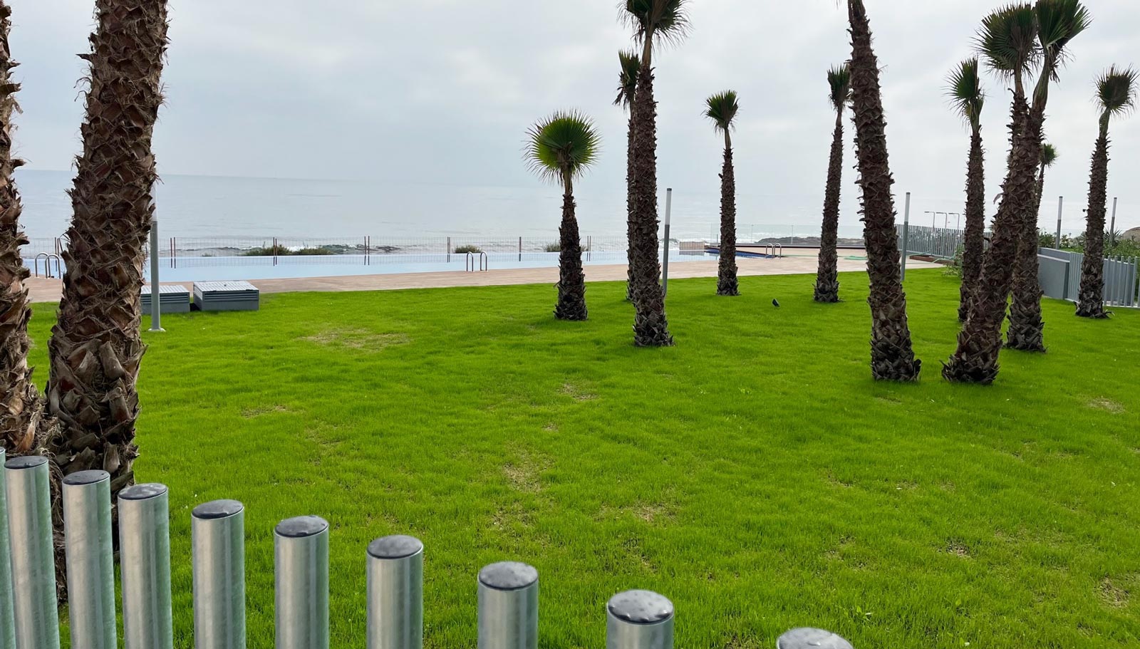 noticia entrega promocion viviendas posidonia puntaprima alicante